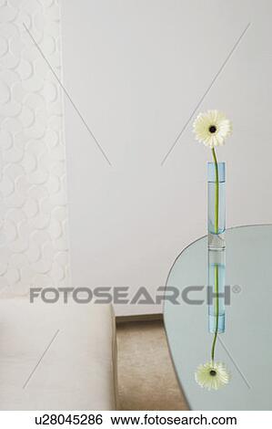 Stock Photograph - Close-up of a flower in a vase. Fotosearch