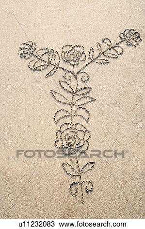 Close-up of a flower plant drawn on sand View Large Photo Image Stock Image - Close-up of a flower plant drawn on sand. Fotosearch