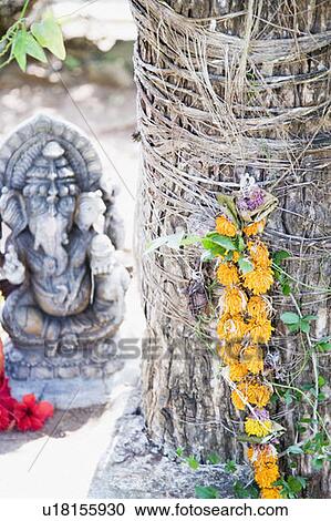 Close-up of a garland hanging on a tree trunk with a statue of God Ganesha in the background View Large Photo Image Stock Image - Close-up of a garland hanging on a tree trunk with a statue of God Ganesha in the background. Fotosearch