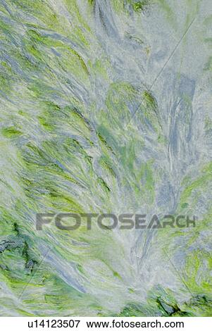 Stock Photo - Close-up of a landscape. Fotosearch