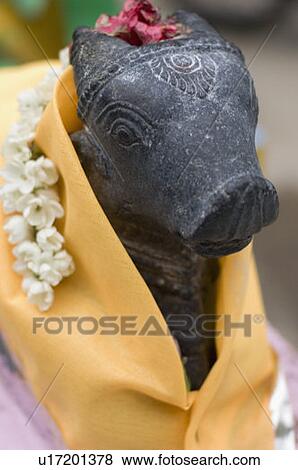Stock Photo - Close-up of a statue of Nandi, Tirupati, Tirumala Venkateswara Temple, Tirumala, Andhra Pradesh, India. Fotosearch