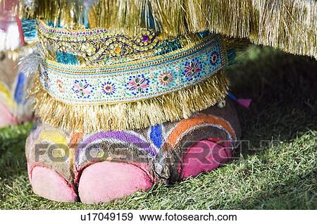 Close-up of an elephant's painted leg, Jaipur, Rajasthan, India View Large Photo Image Stock Photo - Close-up of an elephant's painted leg, Jaipur, Rajasthan, India. Fotosearch