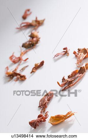 Close-up of dried Mace blades View Large Photo Image Picture - Close-up of dried Mace blades. Fotosearch