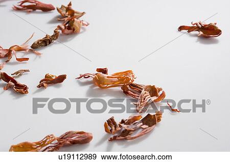 Stock Photo - Close-up of dried Mace blades. Fotosearch