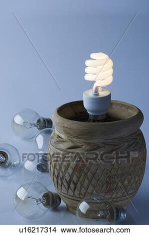 Close-up of energy efficient light bulb in a pot View Large Photo Image Picture - Close-up of energy efficient light bulb in a pot. Fotosearch