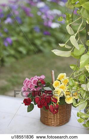 Stock Photograph - Close-up of flowers in a wicker basket. Fotosearch