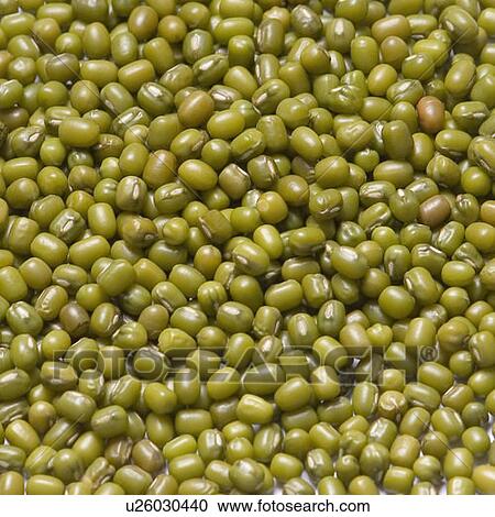 Stock Image - Close-up of mung beans. Fotosearch