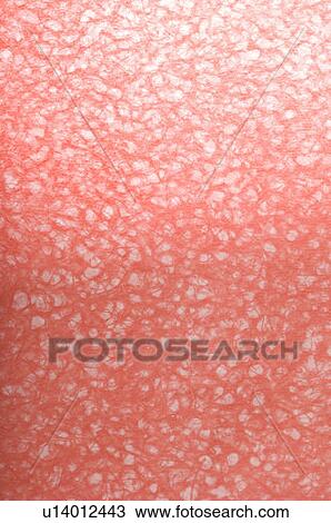 Close-up of pink handmade paper View Large Photo Image Stock Image - Close-up of pink handmade paper. Fotosearch