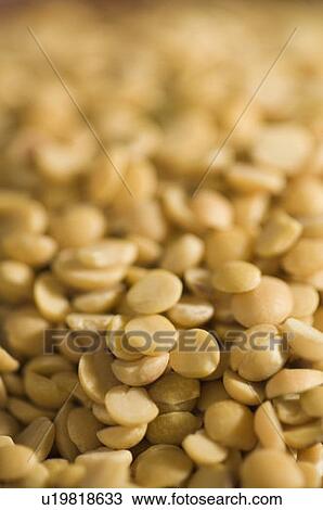 Stock Image - Close-up of Split Bengal grams. Fotosearch