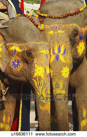 Stock Image - Close-up of two decorated elephants. Fotosearch