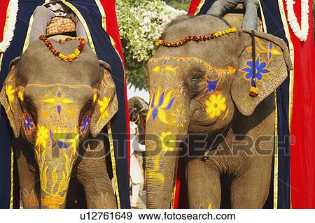 Stock Photo - Close-up of two decorated elephants. Fotosearch