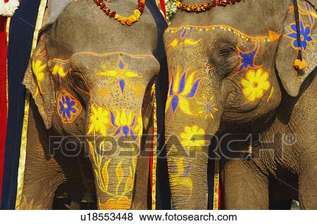 Stock Photo - Close-up of two decorated elephants. Fotosearch