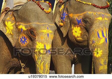 Stock Photography - Close-up of two decorated elephants. Fotosearch