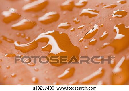 Close-up of water droplets on an orange surface View Large Photo Image Stock Image - Close-up of water droplets on an orange surface. Fotosearch