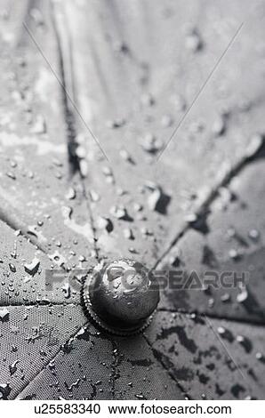 Stock Image - Close-up of water droplets on an umbrella. Fotosearch