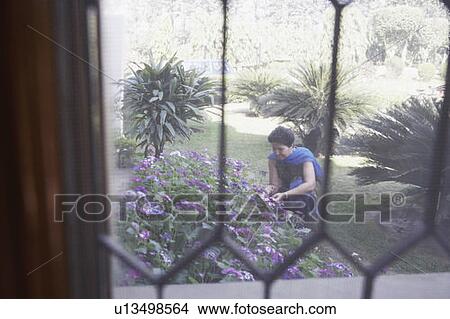Picture - High angle view of a mature woman gardening. Fotosearch