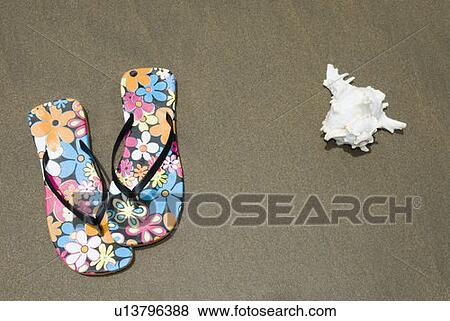Stock Photo - High angle view of a pair of slipper and a conch shell. Fotosearch