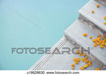 Stock Image - High angle view of flowers on steps at the poolside. Fotosearch