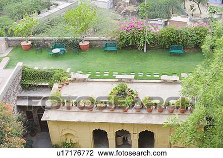 High angle view of potted plants on the roof of a palace, Neemrana Fort Palace, Neemrana, Alwar, Rajasthan, India View Large Photo Image Stock Image - High angle view of potted plants on the roof of a palace, Neemrana Fort Palace, Neemrana, Alwar, Rajasthan, India. Fotosearch