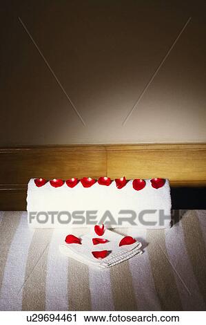 High angle view of rose petals on towels View Large Photo Image Stock Image - High angle view of rose petals on towels. Fotosearch