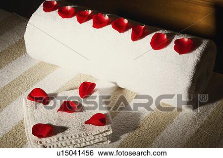 Stock Photograph - High angle view of rose petals on towels. Fotosearch