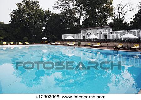 Lounge chairs at the poolside View Large Photo Image Stock Photography - Lounge chairs at the poolside. Fotosearch