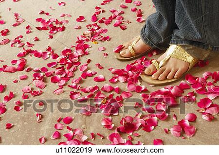 Stock Photo - Low section view of a woman standing with rose petals scattered around. Fotosearch