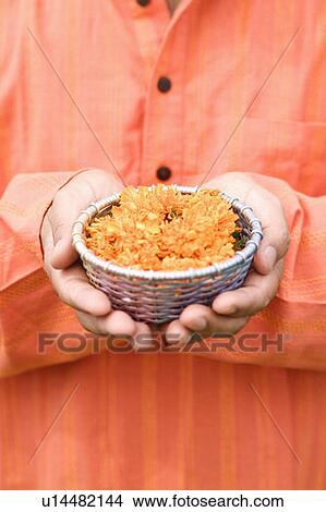 Mid section view of a mid adult man holding a bowl of flowers View Large Photo Image Picture - Mid section view of a mid adult man holding a bowl of flowers. Fotosearch