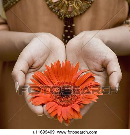 Stock Photo - Mid section view of a woman holding a flower. Fotosearch