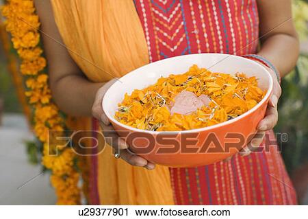 Mid section view of a young woman holding a bowl of Marigold petals View Large Photo Image Stock Image - Mid section view of a young woman holding a bowl of Marigold petals. Fotosearch