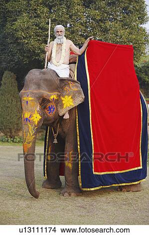 Portrait of a priest riding an elephant View Large Photo Image Picture - Portrait of a priest riding an elephant. Fotosearch