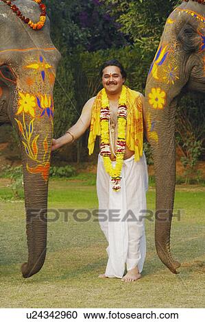Stock Image - Portrait of a priest with two decorated elephants. Fotosearch