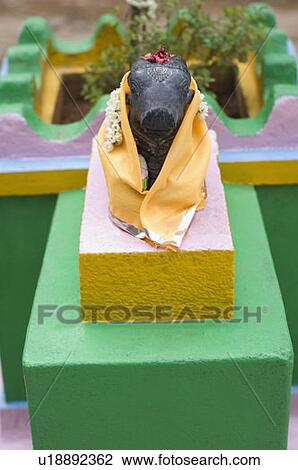 Stock Image - Statue of Nandi in a temple, Tirupati, Tirumala Venkateswara Temple, Tirumala, Andhra Pradesh, India. Fotosearch