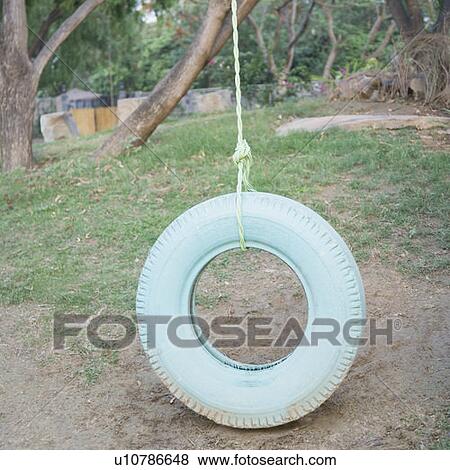 Tire swing in a park View Large Photo Image Stock Photo - Tire swing in a park. Fotosearch