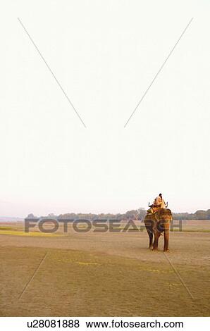 Stock Photo - Tourists riding an elephant. Fotosearch