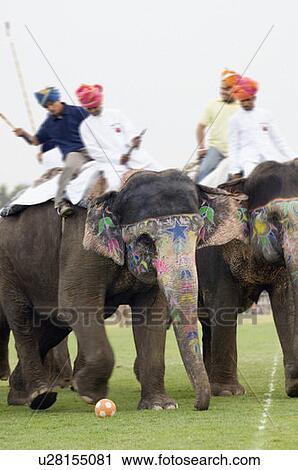 Two people playing polo, Elephant Festival, Jaipur, Rajasthan, India View Large Photo Image Stock Image - Two people playing polo, Elephant Festival, Jaipur, Rajasthan, India. Fotosearch