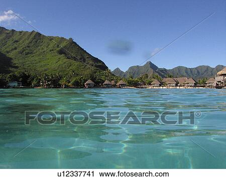 Stock Image - Buildings along a seashore, Moorea, Tahiti, French Polynesia, South Pacific. Fotosearch