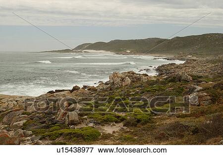 Cape of Good Hope - South Africa View Large Photo Image Stock Photo - Cape of Good Hope - South Africa. Fotosearch