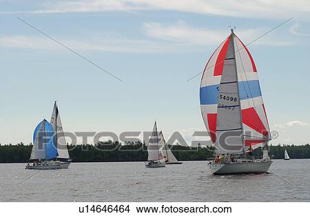 Picture - Sailing boats sailing in Lake of the woods, Ontario, Canada. Fotosearch