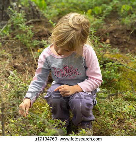 4 year old picking berries View Large Photo Image Stock Photo - 4 year old picking berries. Fotosearch