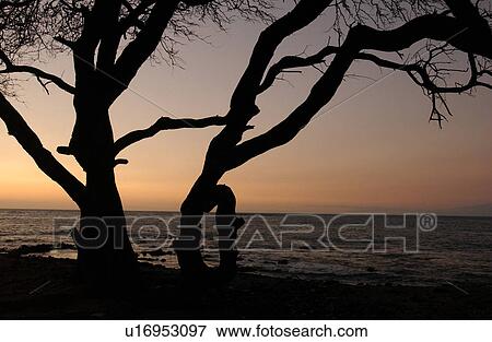 Stock Photo - Big Island of Hawaii - sunset from beach. Fotosearch