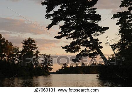 Lake of the Woods at twilight View Large Photo Image Stock Image - Lake of the Woods at twilight. Fotosearch