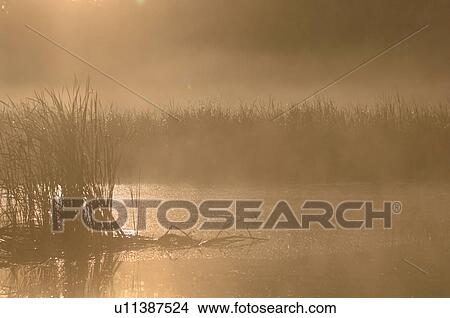 Picture - Lake of the Woods, Canada in autumn. Fotosearch