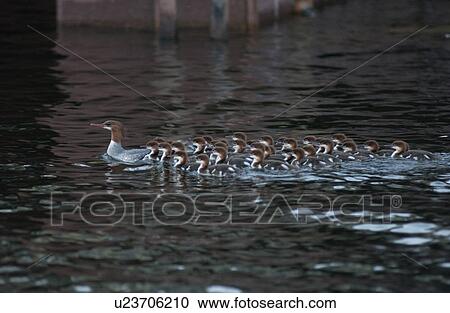 Stock Image - Lake Photography. Fotosearch