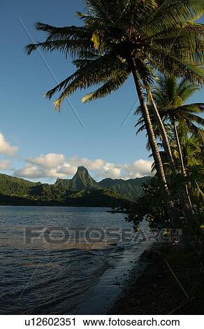 Stock Image - Panoramic view of the seashore, Moorea, Tahiti, French Polynesia, South Pacific. Fotosearch