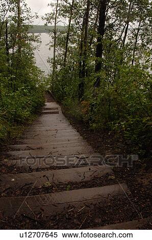 Path in forest around Oil Sands View Large Photo Image Stock Photography - Path in forest around Oil Sands. Fotosearch