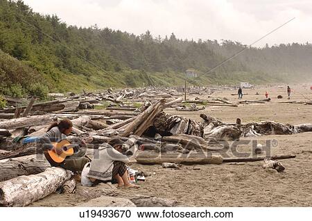 People sitting on logs on beach, Pacific Rim National Park, Vancouver Island, Canada View Large Photo Image Stock Image - People sitting on logs on beach, Pacific Rim National Park, Vancouver Island, Canada. Fotosearch