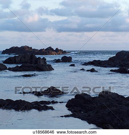 Stock Photograph - Rocks at shoreline, Pacific Rim Park, Vancouver Island, Canada. Fotosearch