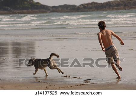 Stock Photography - Man chasing dog on beach. Fotosearch
