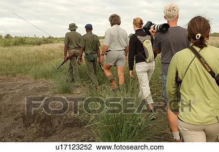 African Safari - morning hike Kruger National Park - South Africa View Large Photo Image Stock Image - African Safari - morning hike Kruger National Park - South Africa. Fotosearch